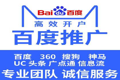 成功企业SEM竞价代运营案例研究